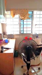 Blk 287 Choa Chu Kang Avenue 2 (Choa Chu Kang), HDB Executive #638181821